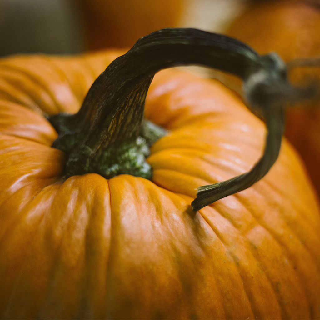 Jouer un Escape Game près de chez soi pour halloween.